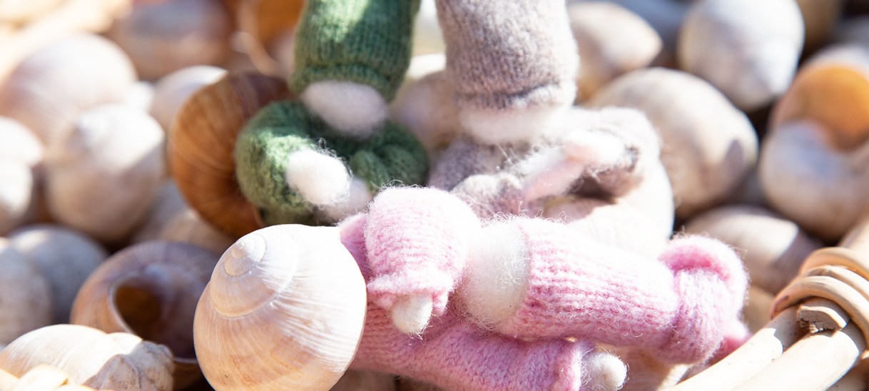 Schneckenkinder und der&nbsp;Frühling