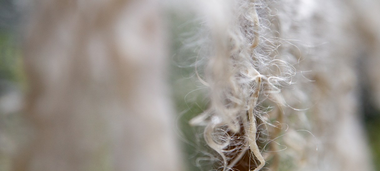 Upcycling und Puppen