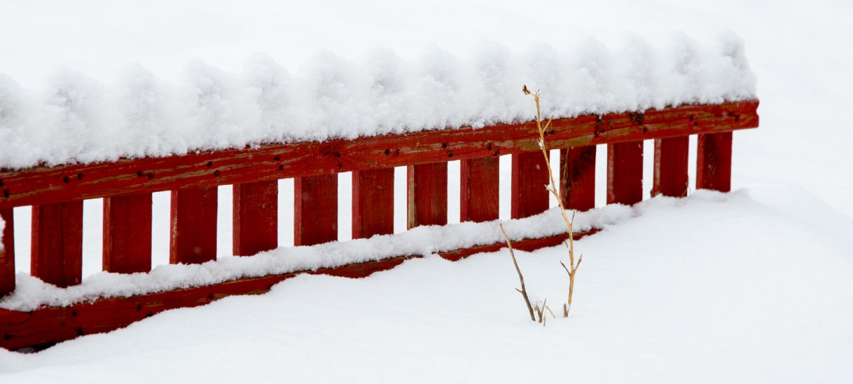 Rückblick und Dankbarkeit