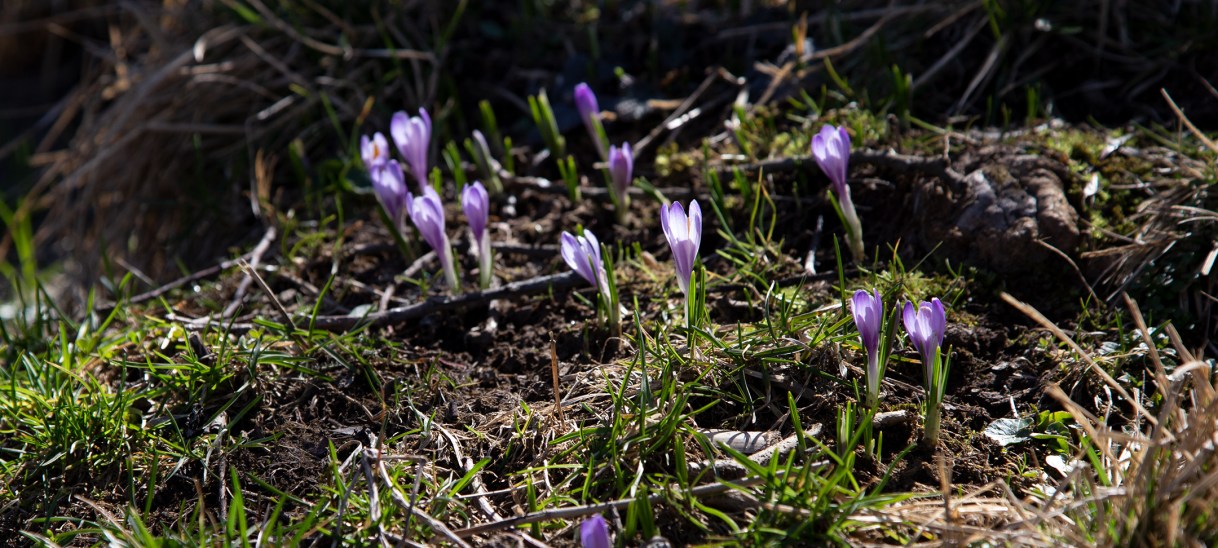 Atelier und eine&nbsp;Pause