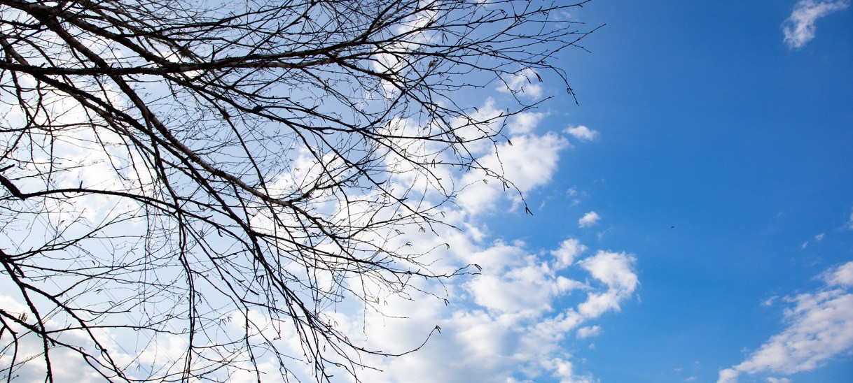 Quarantäne und Wirtschaft