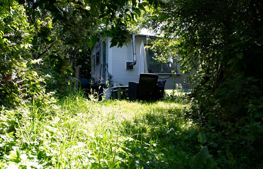 Tierisches und Menschliches aus dem&nbsp;Paradies