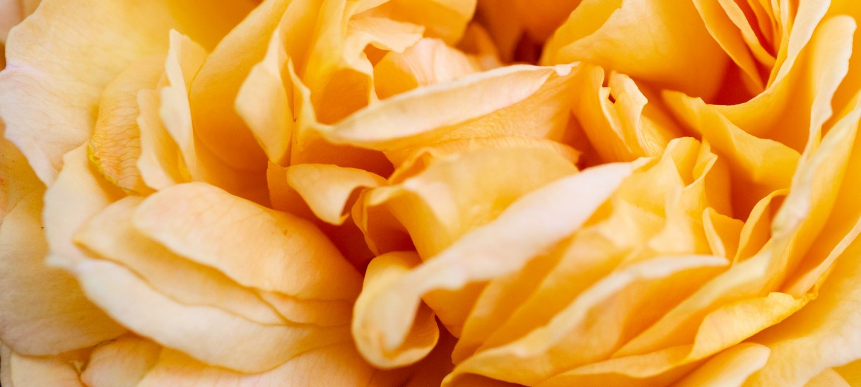 Rückzug und Miteinander