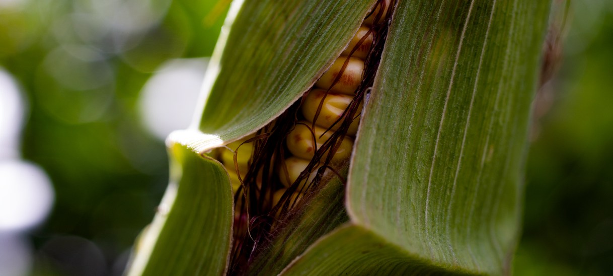 Loslassen in Schritten