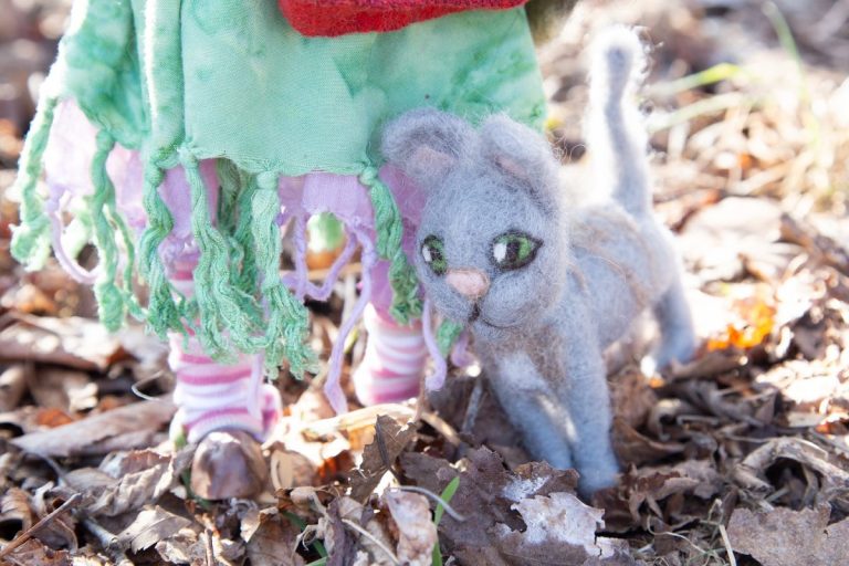 grauer gefilzter Kater, der im Garten um die Beine seines Servicepersonals streift, immer hungrig.