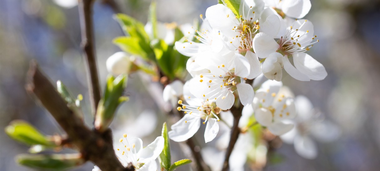 Draußen vor dem Haus