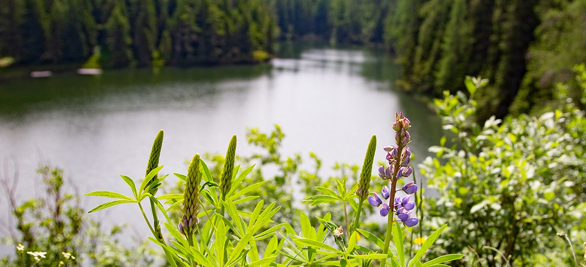 Die Volksseele und ein heißes&nbsp;Wochenende