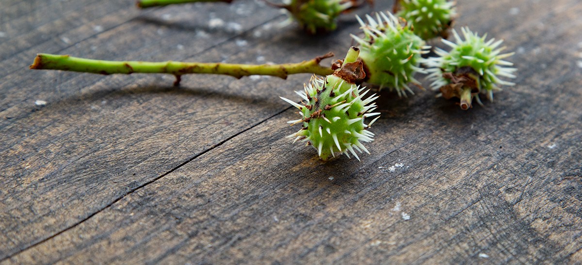 Zurück in den künstlerischen&nbsp;Prozess