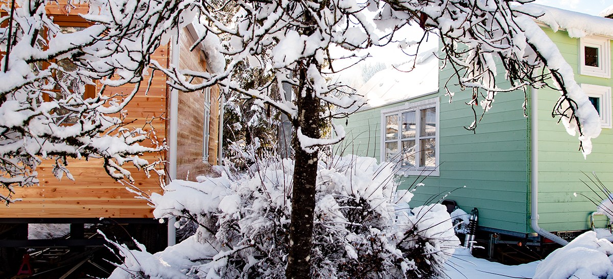 Trauer und Wiedergeburt