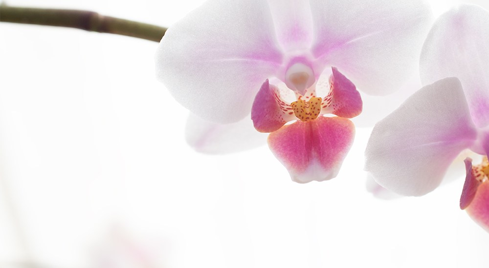 Verletzlichkeit und Stärke