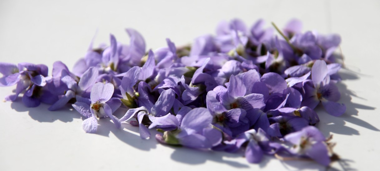 Dem eigenen Weg&nbsp;vertrauen