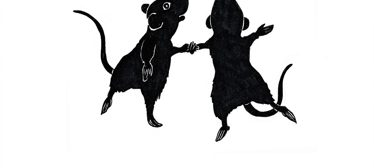 Frühlingsbeginn und Aufwachen