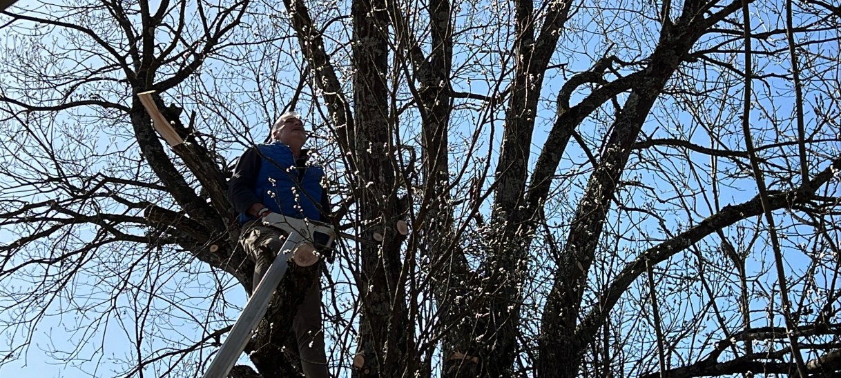 Von Frauen und von&nbsp;Männern